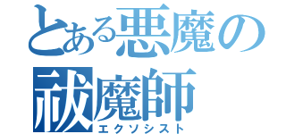 とある悪魔の祓魔師（エクソシスト）