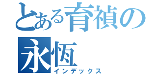 とある育禎の永恆 （インデックス）