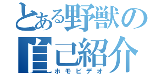 とある野獣の自己紹介（ホモビデオ）