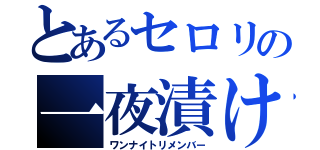 とあるセロリの一夜漬け（ワンナイトリメンバー）