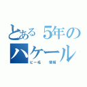 とある５年のハケール（ピー毛  情報）