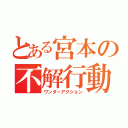 とある宮本の不解行動（ワンダーアクション）