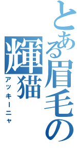 とある眉毛の輝猫（アッキーニャ）