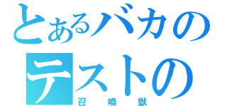 とあるバカのテストの（召喚獣）