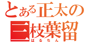 とある正太の三枝葉留佳（はるちん）