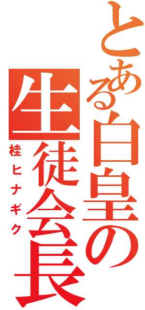 とある白皇の生徒会長（桂ヒナギク）