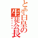 とある白皇の生徒会長（桂ヒナギク）