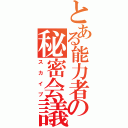 とある能力者の秘密会議（スカイプ）