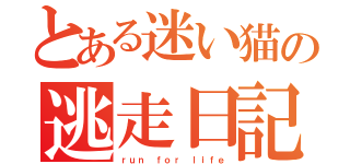 とある迷い猫の逃走日記（ｒｕｎ ｆｏｒ ｌｉｆｅ）