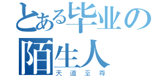 とある毕业の陌生人（天道至尊）