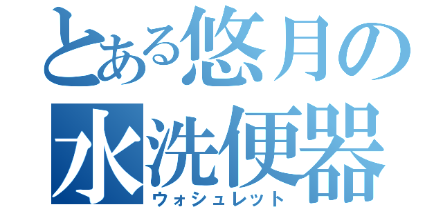 とある悠月の水洗便器（ウォシュレット）