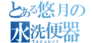 とある悠月の水洗便器（ウォシュレット）