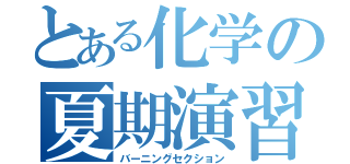 とある化学の夏期演習（バーニングセクション）