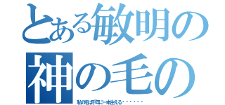 とある敏明の神の毛のお話し（私の毛は千年に一本生える‼︎‼︎‼︎）