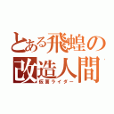 とある飛蝗の改造人間（仮面ライダー）