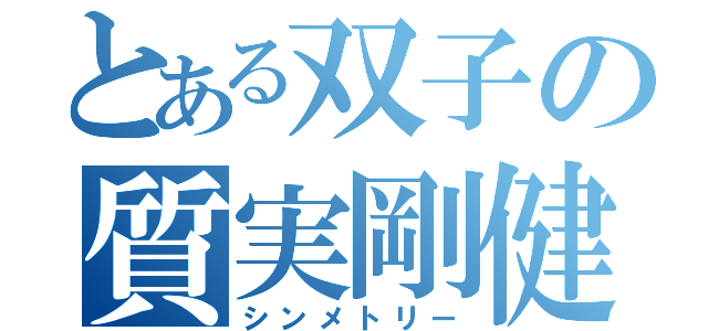 とある双子の質実剛健（シンメトリー）