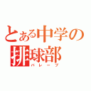 とある中学の排球部（バレーブ）