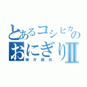 とあるコシヒカリのおにぎりⅡ（緒方龍也）