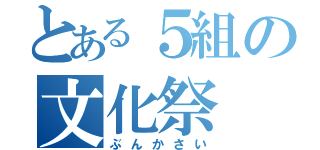 とある５組の文化祭（ぶんかさい）