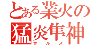 とある業火の猛炎隼神（ホルス）