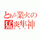 とある業火の猛炎隼神（ホルス）