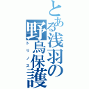 とある浅羽の野鳥保護（トリノス）