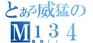 とある威猛のＭ１３４（格林！！）