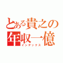 とある貴之の年収一億（インデックス）