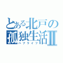 とある北戸の孤独生活Ⅱ（ハブライフ）