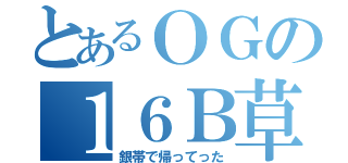 とあるＯＧの１６Ｂ草（銀帯で帰ってった）