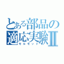 とある部品の適応実験Ⅱ（モルモット）