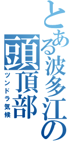 とある波多江の頭頂部（ツンドラ気候）