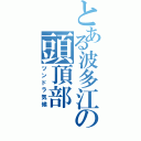 とある波多江の頭頂部（ツンドラ気候）