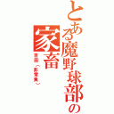 とある魔野球部の家畜（吉田（非常食））