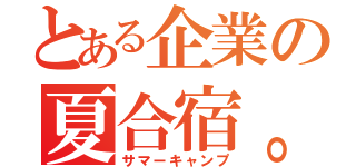 とある企業の夏合宿。（サマーキャンプ）