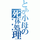 とある小母の死体処理（吸血鬼）