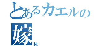 とあるカエルの嫁（椛）