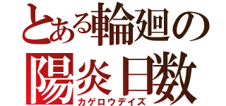 とある輪廻の陽炎日数（カゲロウデイズ）