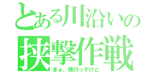 とある川沿いの挟撃作戦（まぁ、姉川っすけど）