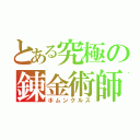 とある究極の錬金術師（ホムンクルス）