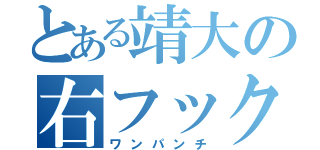 とある靖大の右フック（ワンパンチ）