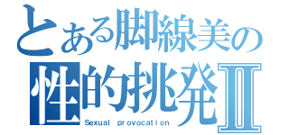 とある脚線美の性的挑発Ⅱ（Ｓｅｘｕａｌ ｐｒｏｖｏｃａｔｉｏｎ）