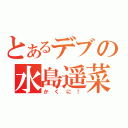 とあるデブの水島遥菜（かくに！）