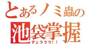 とあるノミ蟲の池袋掌握（デュラララ！！）