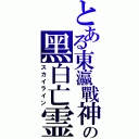 とある東瀛戰神の黑白亡霊（スカイライン）