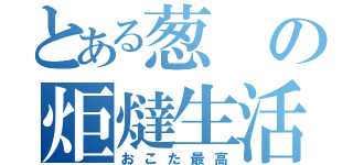 とある葱の炬燵生活（おこた最高）