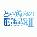 とある鶏肉の飛翔記録Ⅱ（カーネルオジサン）