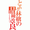 とある林檎の品種改良（インプルヴマント）