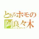 とあるホモの阿良々木暦（ピッピカチュウ）