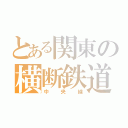 とある関東の横断鉄道（中央線）